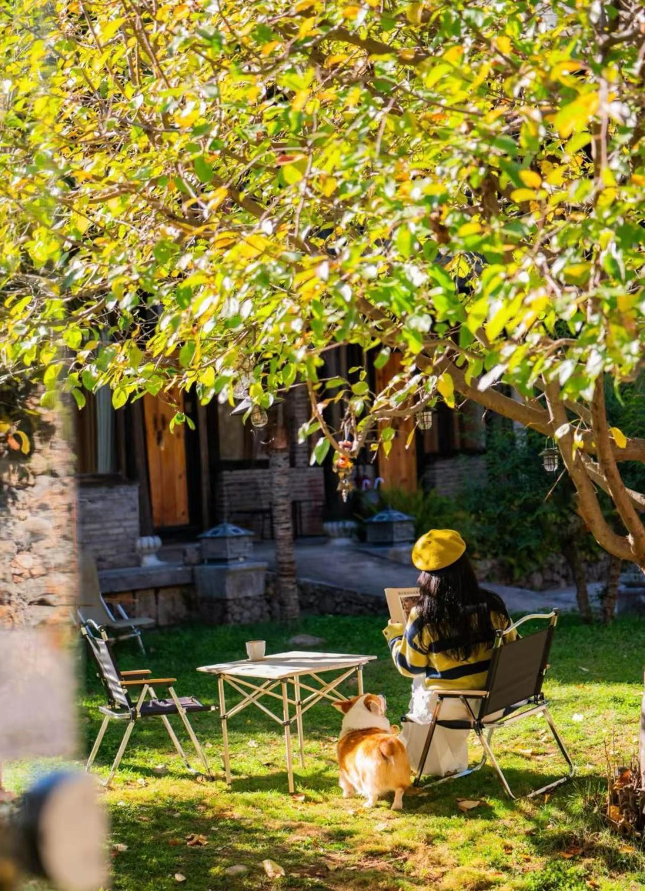 Adonis Inn Lijiang ลี่เจียง ภายนอก รูปภาพ